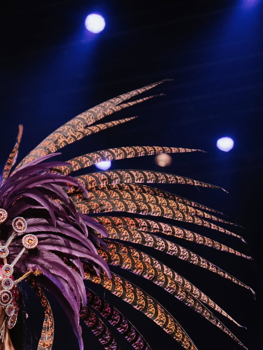 #sambanantes #sambao2025 #florcarioca #batucada #samba