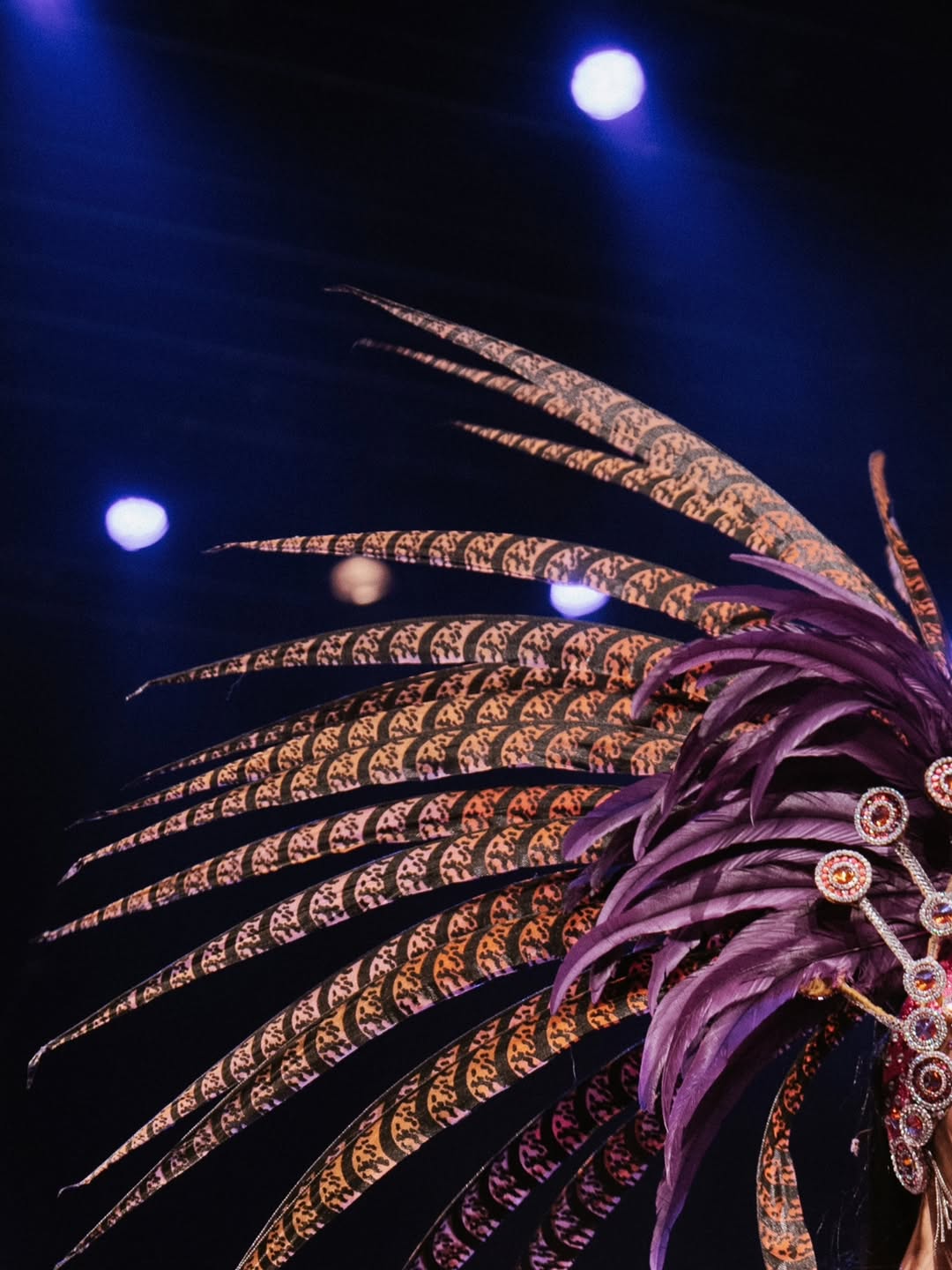 #sambanantes #samba #batucada #sambafrance